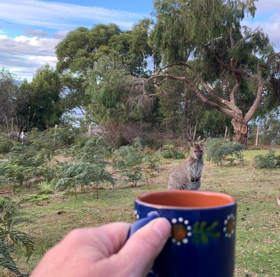 Wylah For A Peaceful Bruny Island Escape With Water Views, Fireplace & Wallabies *